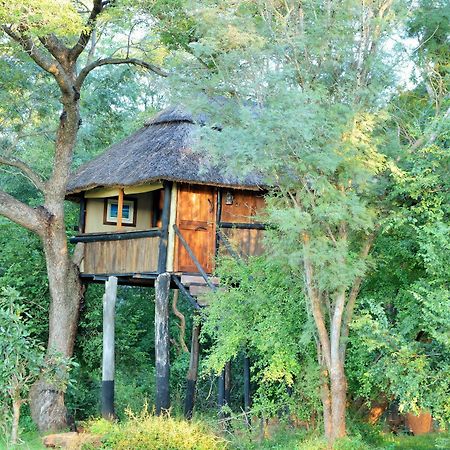 Ivory Lodge Dete Exteriér fotografie