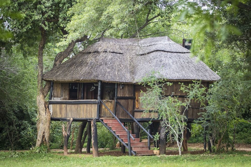 Ivory Lodge Dete Exteriér fotografie