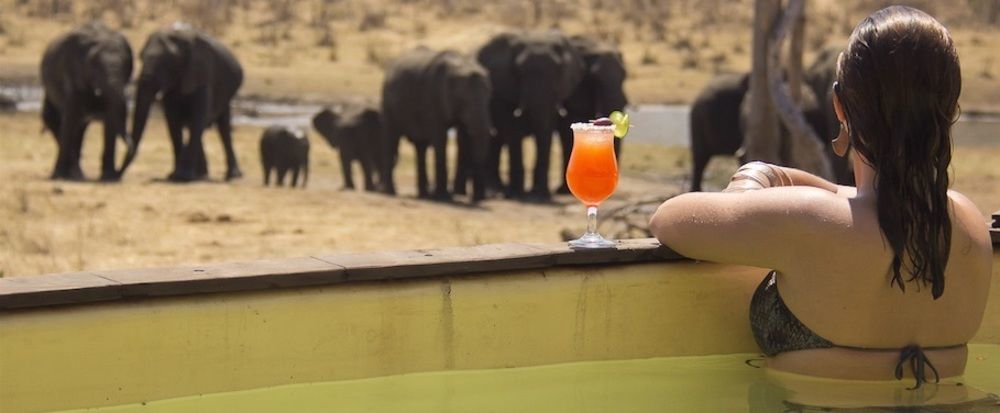 Ivory Lodge Dete Exteriér fotografie
