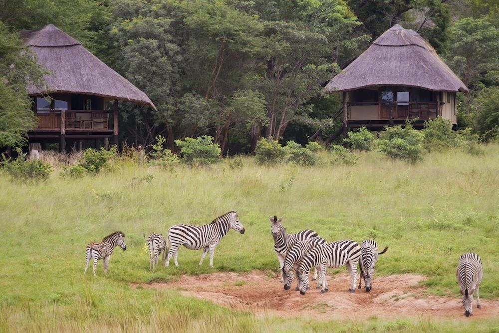 Ivory Lodge Dete Exteriér fotografie