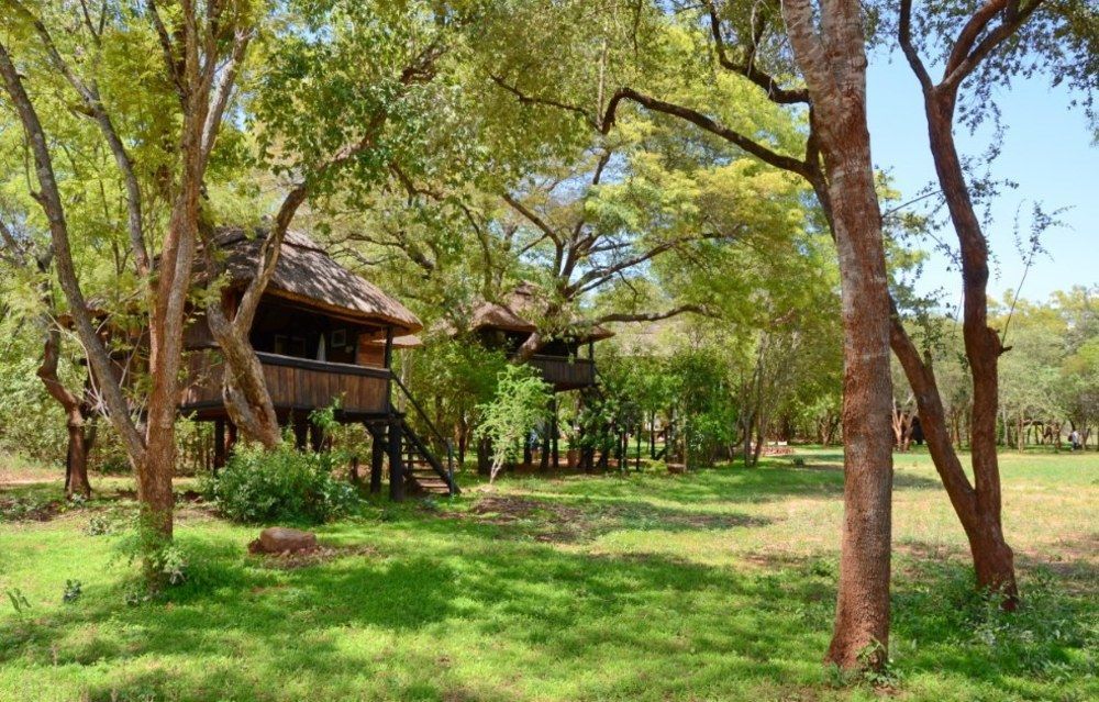 Ivory Lodge Dete Exteriér fotografie