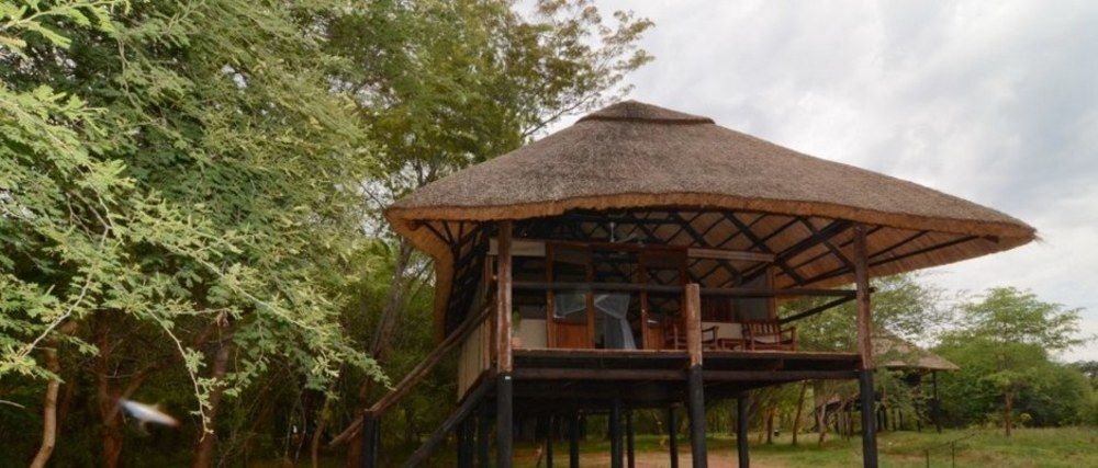 Ivory Lodge Dete Exteriér fotografie