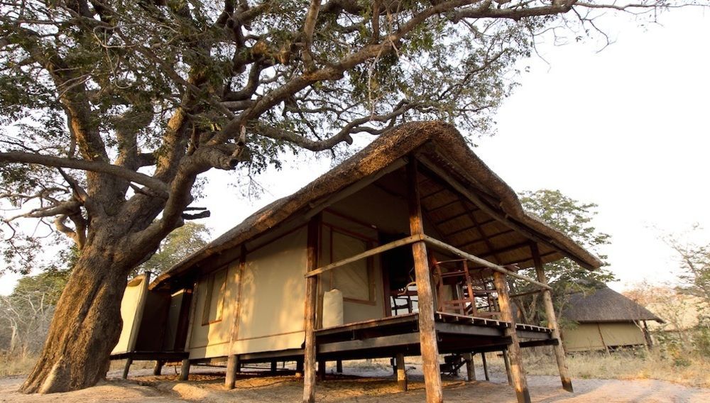 Ivory Lodge Dete Exteriér fotografie