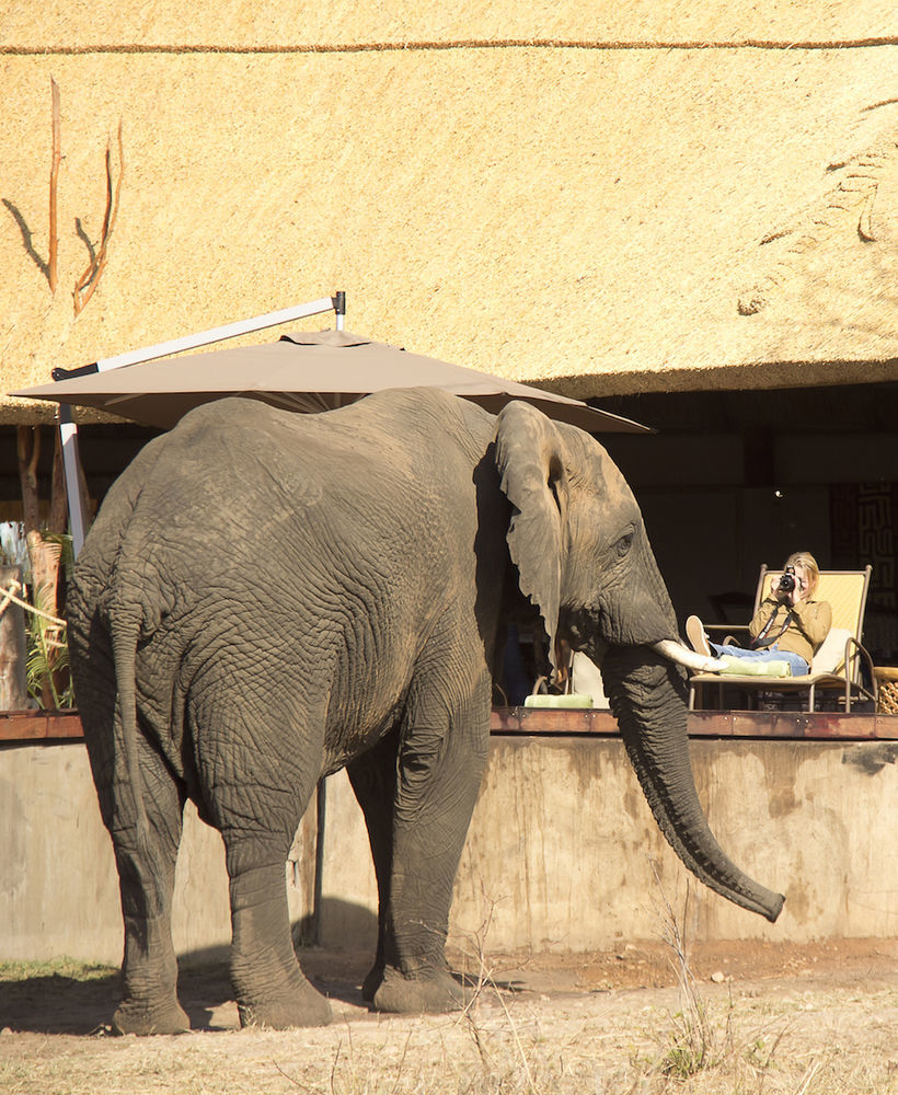 Ivory Lodge Dete Exteriér fotografie