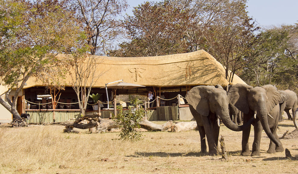 Ivory Lodge Dete Exteriér fotografie