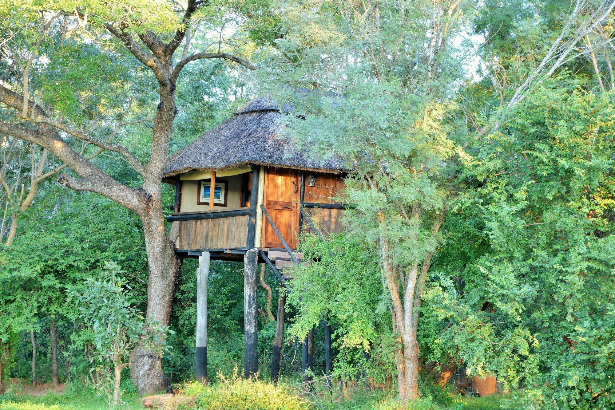 Ivory Lodge Dete Exteriér fotografie